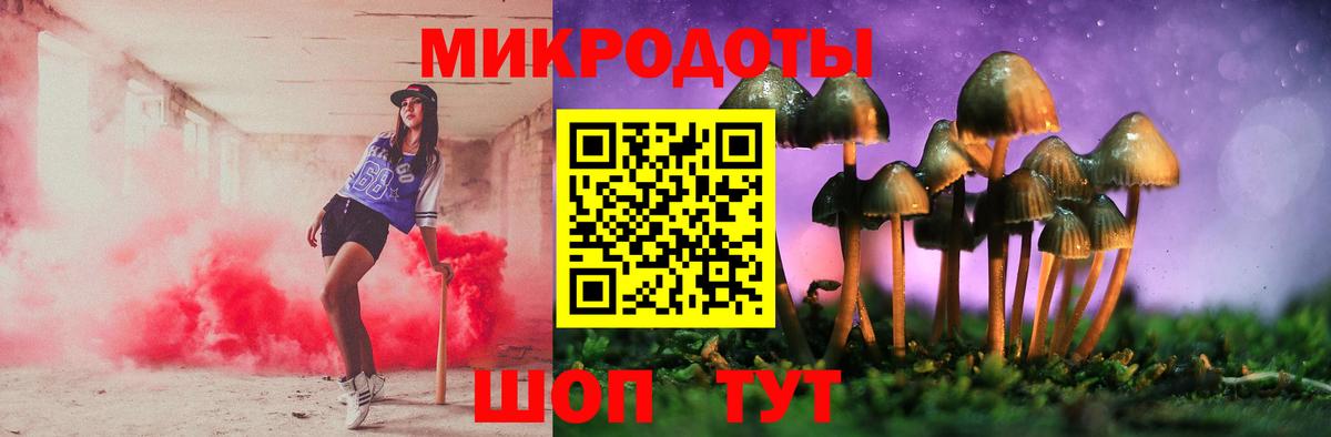 Ковров  Псилоцибиновые грибы Cubensis  Галлюциногенные грибы прущие грибы  Вход с VPN 